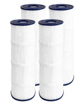 Swimming Filter Cartridge 120 Sq. Ft. (2 Pack) Filter Replacement C1200 C1200 C-8412 CX1200RE FC-1293 PCCF-125 817-0125N